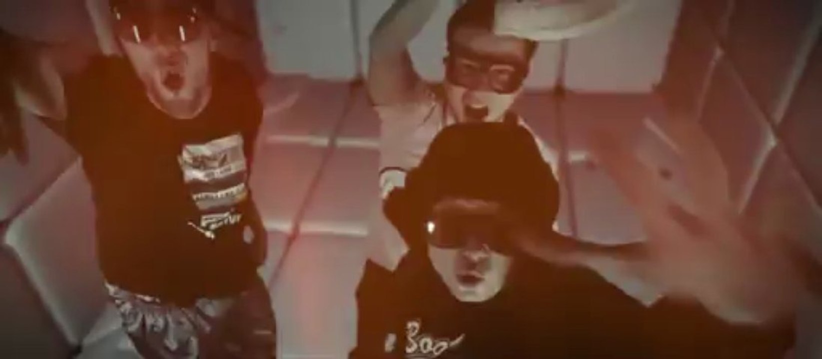 Verrückte hunde - verrückte hunde (official video)