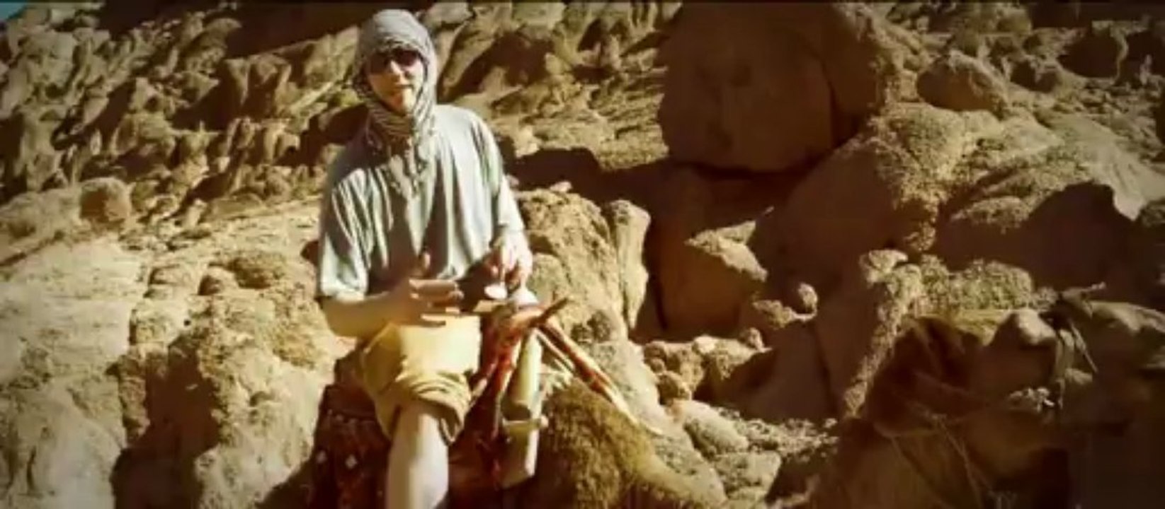 Verrückte Hunde - Foxn`s 100 Rhymes Auf Amigakabel (Official Video)