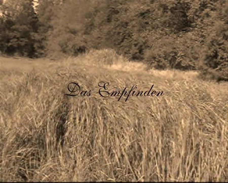 Die biomechanik - das empfinden (official music video)