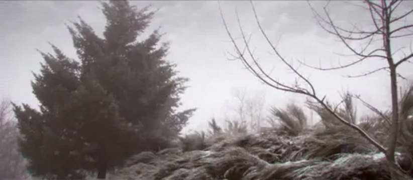 La potenza di nuova Peugeot RCZ