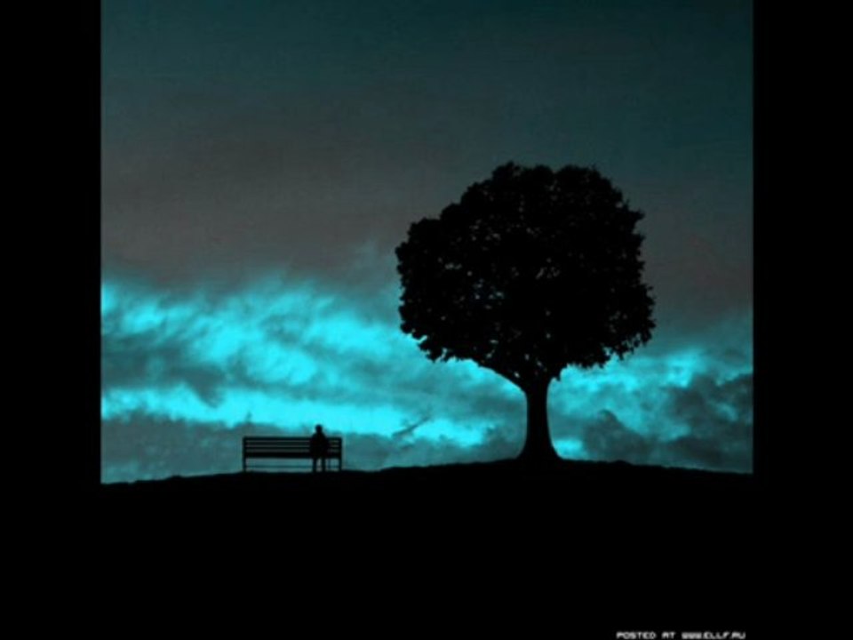 ercan turğay:ölürüzde