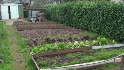 PSA BAUCHE version 1