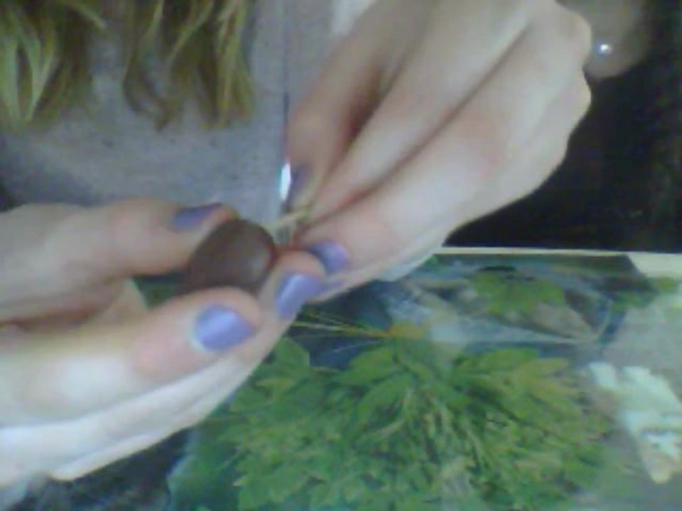 tuto glace