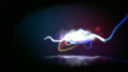 Salon Kaya Edremit 2013