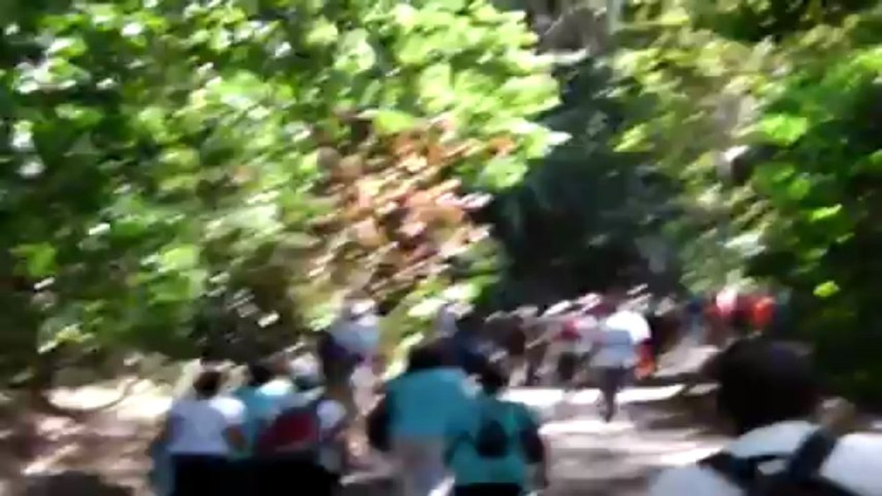 Prêcheur Anse Céron cascade rivière couleuvre1