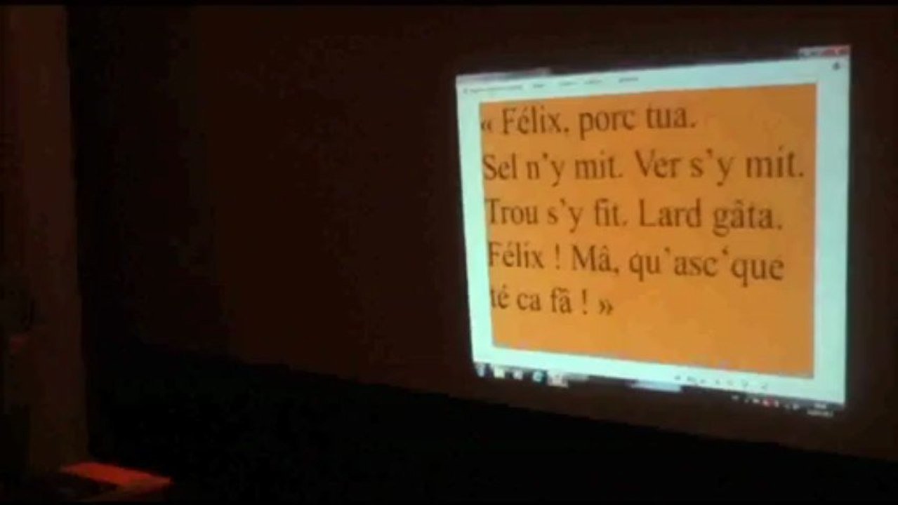 Le patois du pays de la Seille, par Roger Richard, Château-Salins