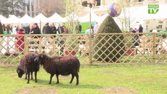 Vidéo Puteaux: Les Journées du développement durable 2013