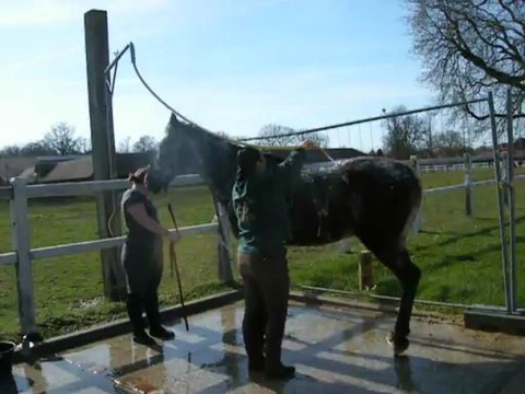 Nirik au rinçage du 1er shampoing de printemps