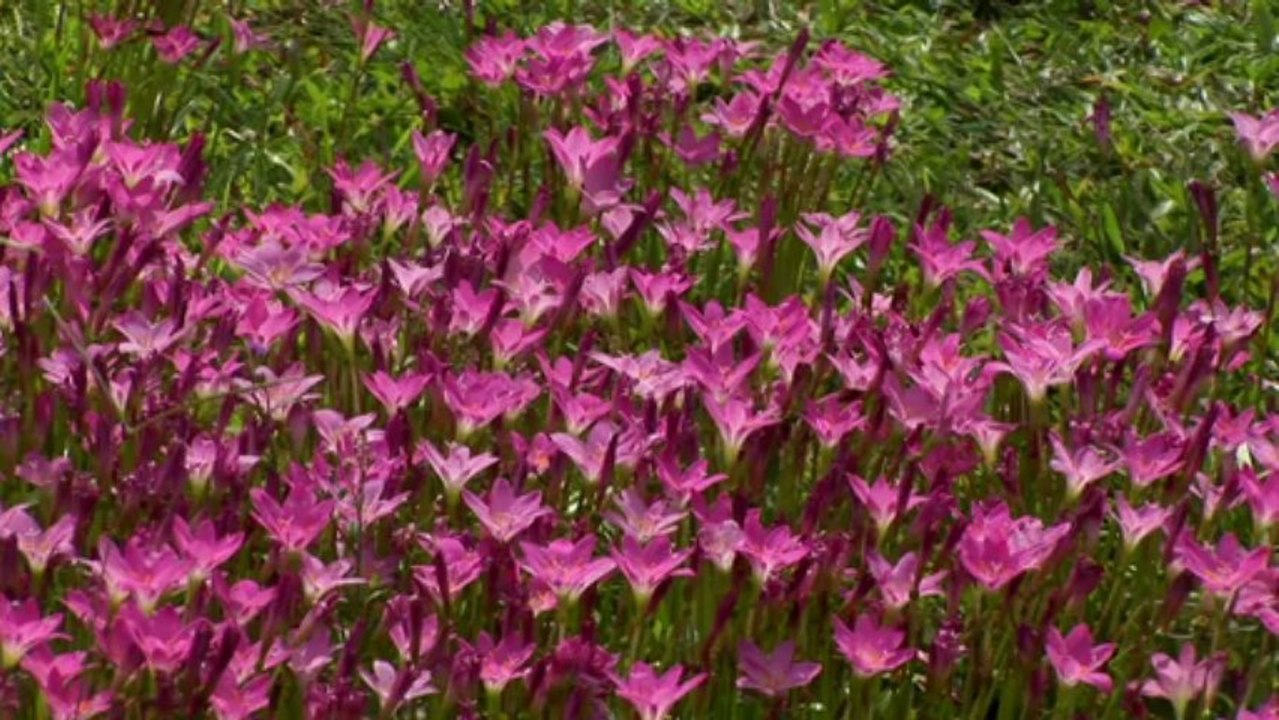 Partir Ailleurs 9 - Polynesie