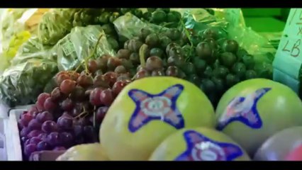 Alley Cat aka Imperial - Idling (Official HD Video)