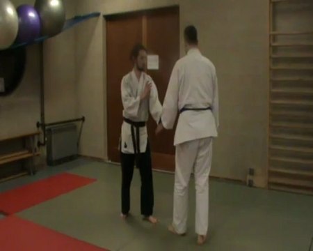 Ai hanmi katate dori : nikyo (kihon)