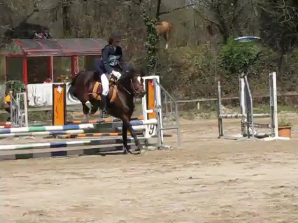 Valko de Matt - 3,5 ans - Premier concours CCE club 3 - 11ème sur 46