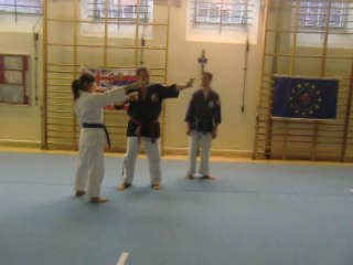 Vol de chi au stage de Londres par Jean-Paul Bindel, Hanshi