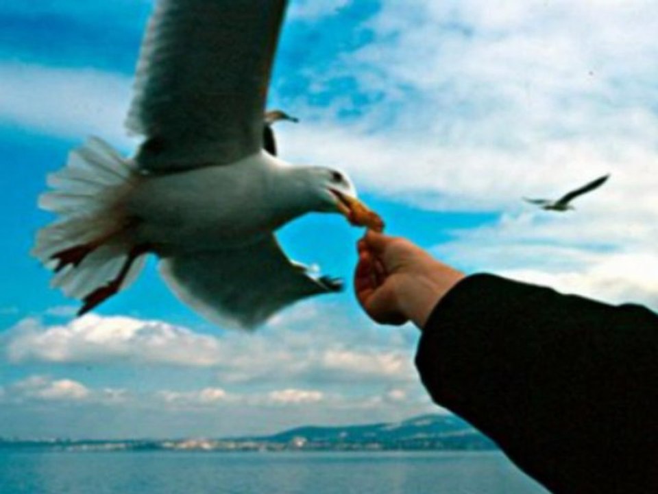 Özge Öz-Ahraz istanbul