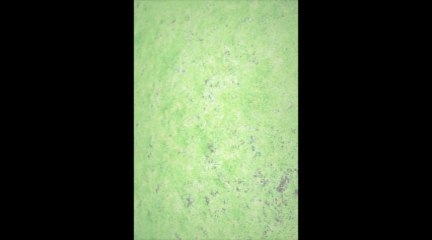 130415 　かのん