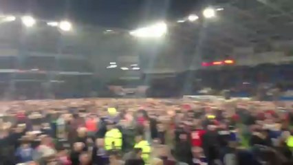 Cardiff City Vs Charlton Athletic Pitch Invasion Scenes