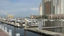Bay Oaks Apartments in Tampa, FL - ForRent.com