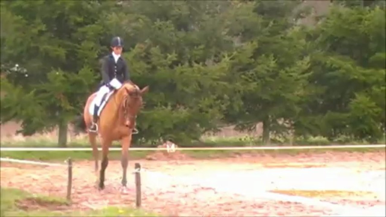 UN DE FOLIE DRESS BONNEVILLE 09042013