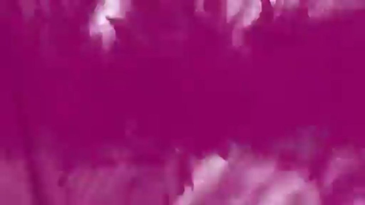 Upload 2