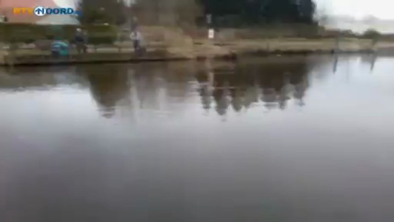 Jongen maakt filmpje van zeehond in De Groeve - RTV Noord