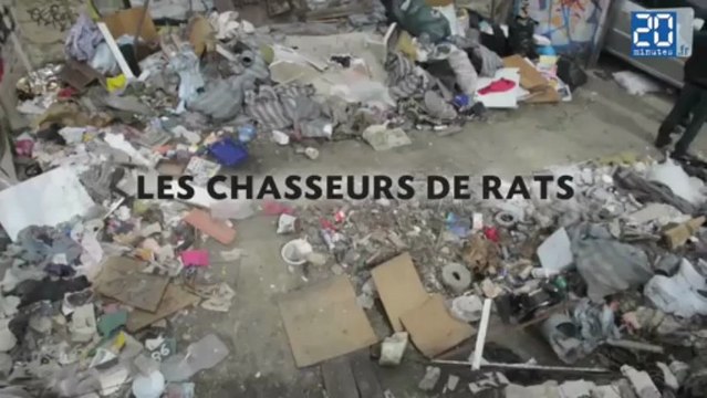 La police sur les traces des rats parisiens