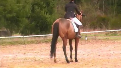 URGOS DES VALAIS DRESS BONNEVILLE 09042013