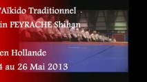 Aïkido traditionnel en Hollande avec Alain PEYRACHE Shihan