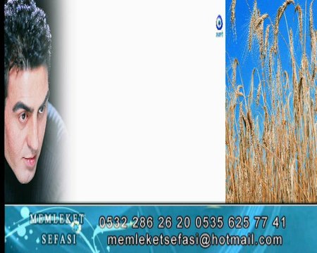 sefa güneş seven sevmek istiyorum