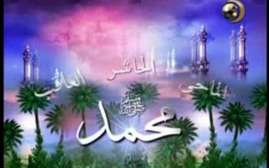 فى ذكر محبته صلى الله عليه وسلم للفأل الحسن - الحلقة ( 20 )