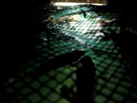 ORACIÓN IMORALIDAD EM LA IGLESIA - POR VALDEMIR MOTA DE MENEZES