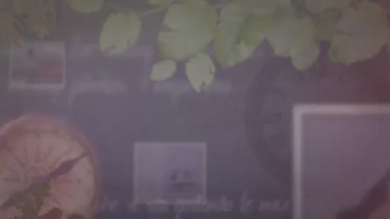 The best ways to require Refrigerated Trailers for Lease, Portable Freezer Container Leasing and Mobile Refer Container Rental.