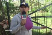 Habitantes del sector La Ceiba se ven afectados por las constantes crecidas del Rio Caracas en Margarita