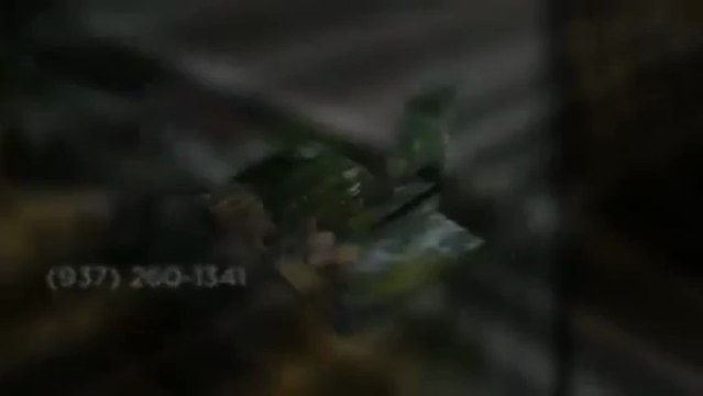 Beavercreek Tree Care LLC (937) 260-1341