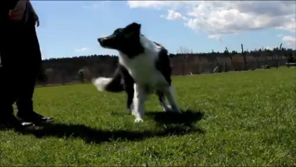 Shaya - Paws on my feet