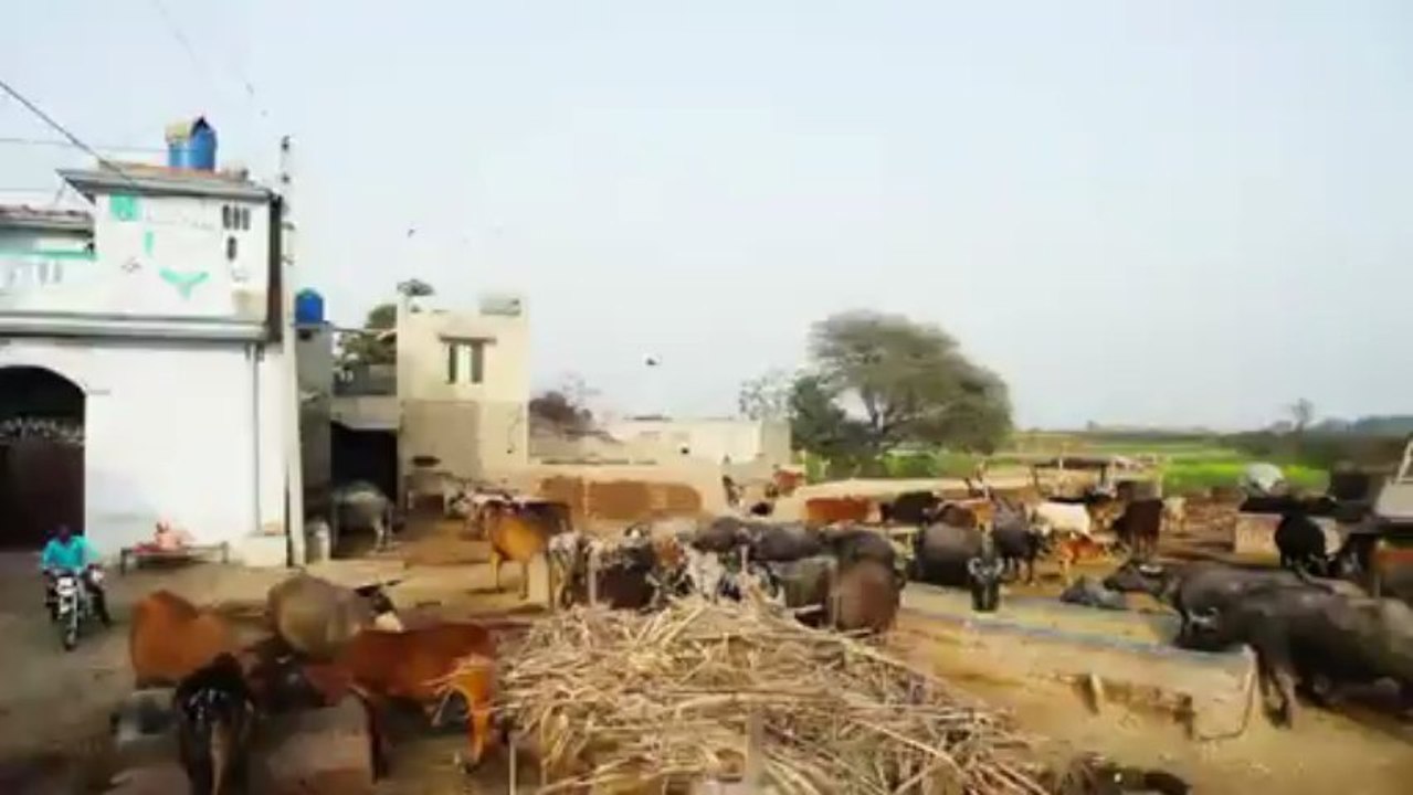 Jinnah Abadi - 110,000 free plots to the deserving people in Punjab