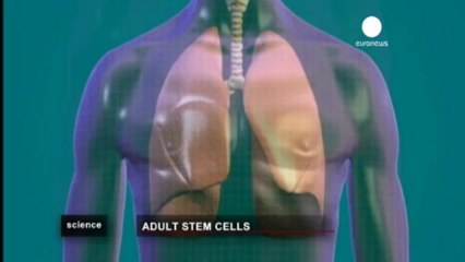 Nuovi orizzonti per la medicina rigenerativa