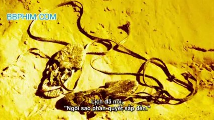 Ashes.Of.Time.Redux.2008_clip4