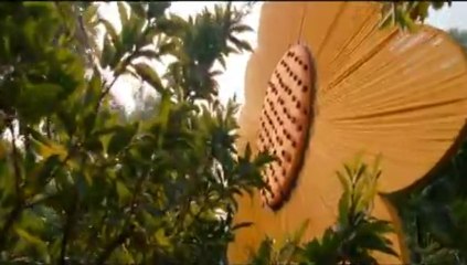 SOORAJ KI BANHON MEIN - ZINDAGI NA MILEGI DOBARA