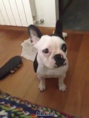 Paula 2do. video en Keek ("habla" Renata) - 17 de Abril