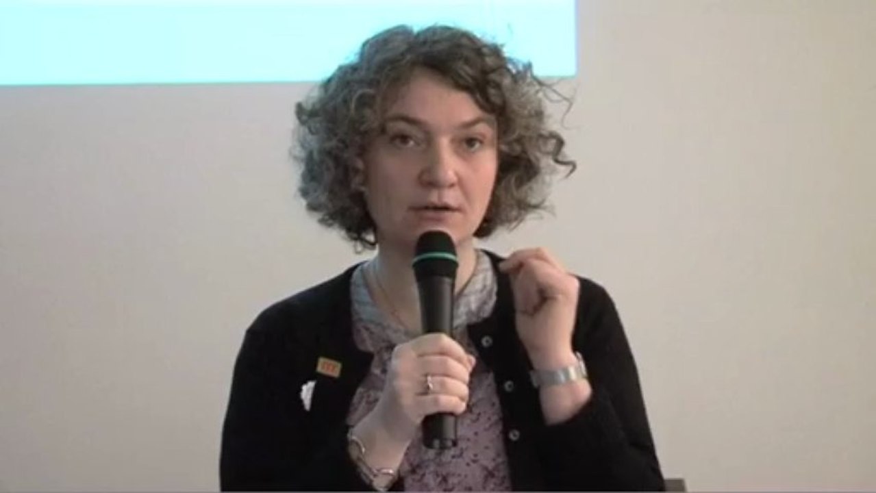 Giovanna Zapperi : Introductory remarks