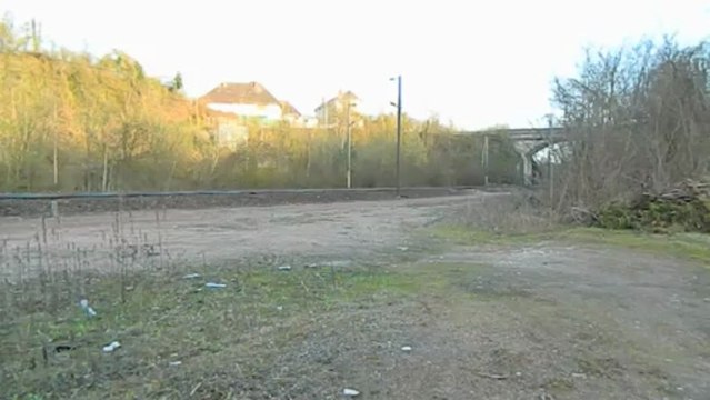 Croisement VB2N Picard + BB 15000 multiservice en pousse