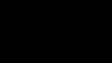 Victoria 2 : Heart Of Darkness - Lancement du jeu