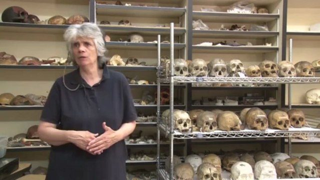 The Morton Collection of Human Skulls: Full Interview at Penn