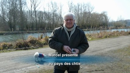 au pays des chtis
