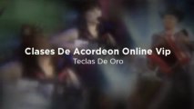 Clases De Acordeon Online Vip - Teclas De Oro
