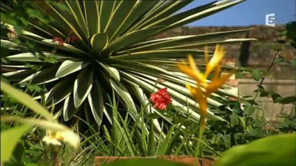 Planète insolite porto rico