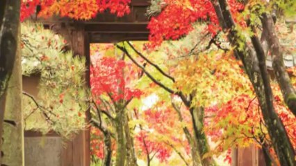 GOLDEN BAY CAM RANH - ĐẤT NỀN NGHỈ DƯỠNG VEN BIỂN - LH:0946 75 33 55