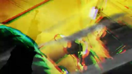 SWAN BRIDE - Hibernation