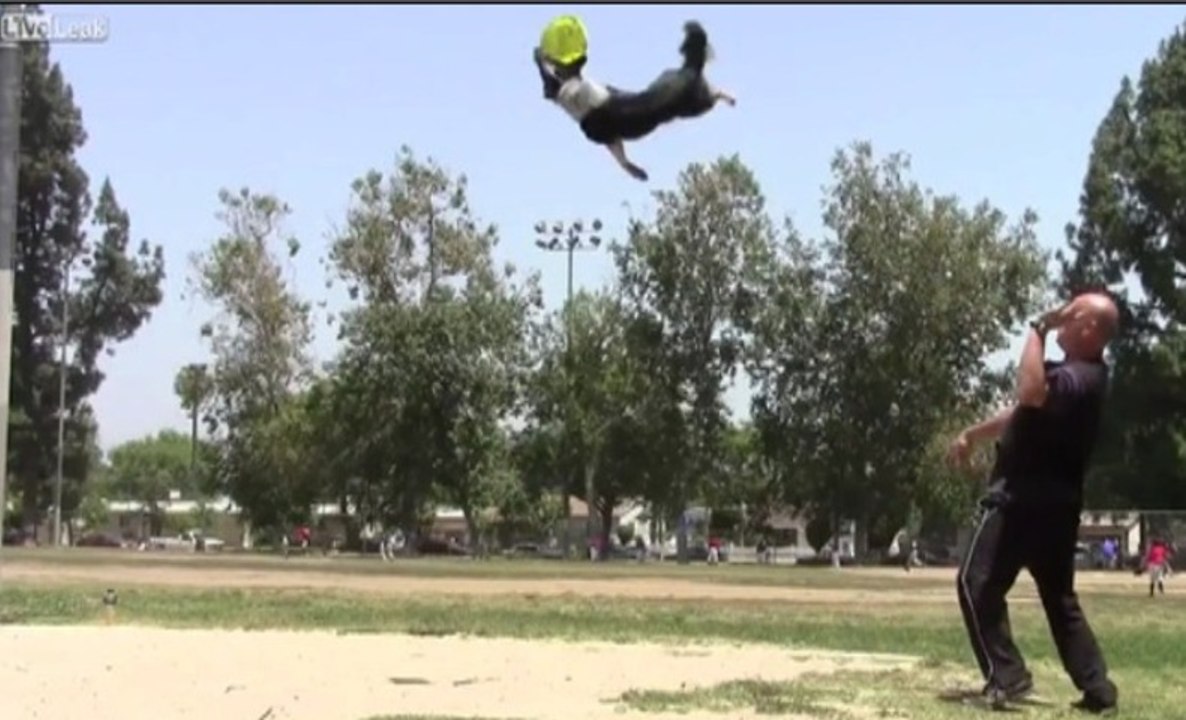 Surf, skate, saut : ce chien sait tout faire !