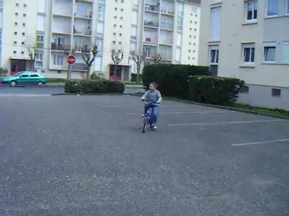 Mes poussins piou